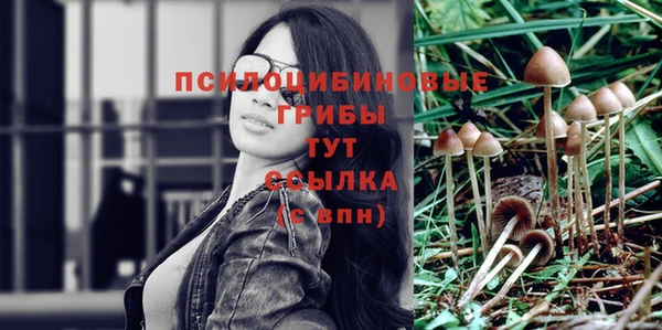 мет Алексин