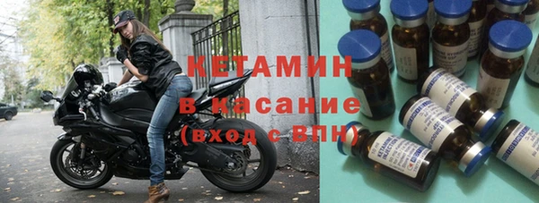 мет Алексин